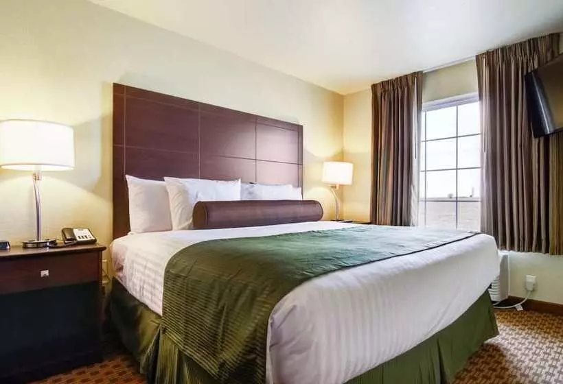 Отель Castle Rock Inn & Suites