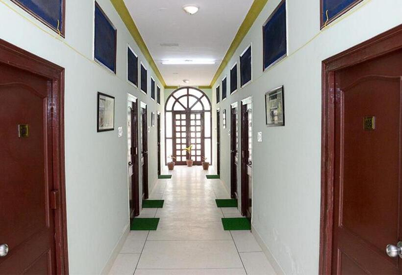 Hotel Collection O 4255 Day Night Guest House And Restaurant