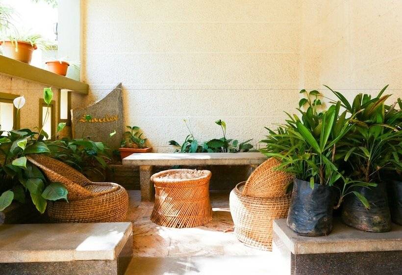 فندق Treebo Trip Cynosure Suites