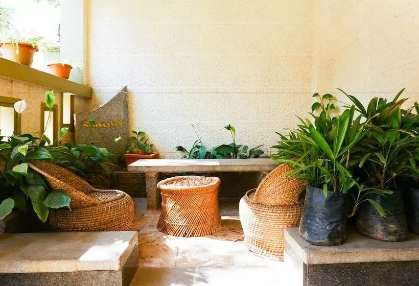 酒店 Treebo Trip Cynosure Suites