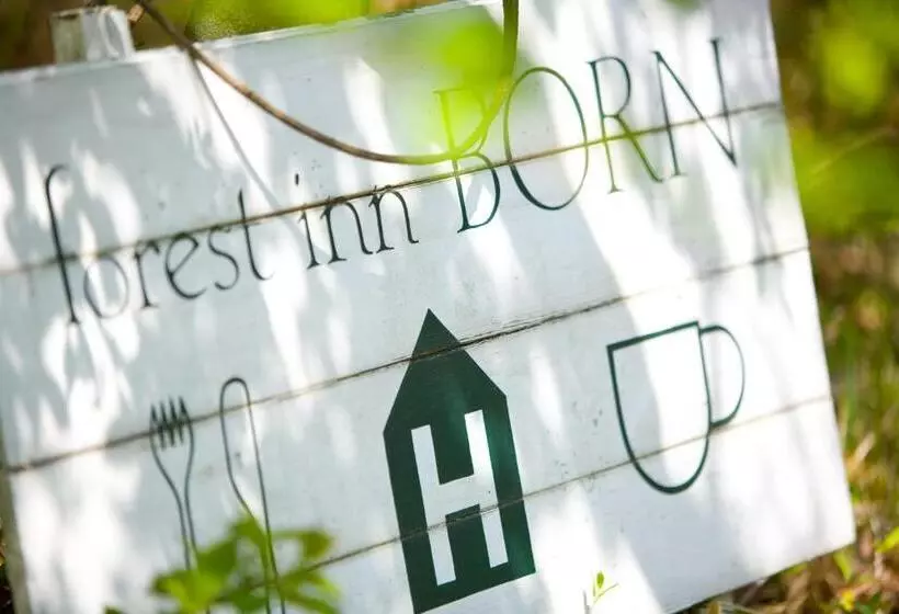 Hotelli Forest Inn Born