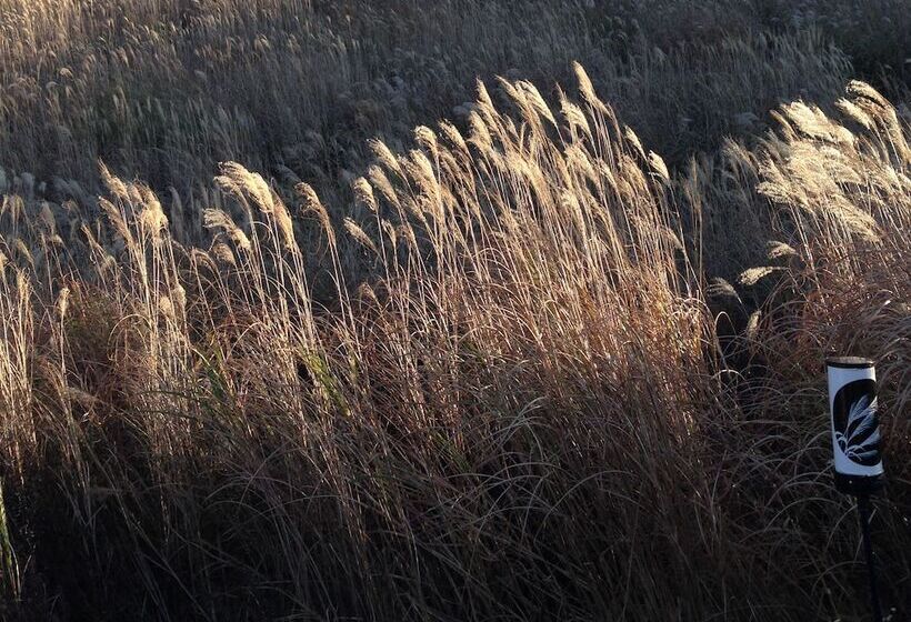 Отель Fukushimakan