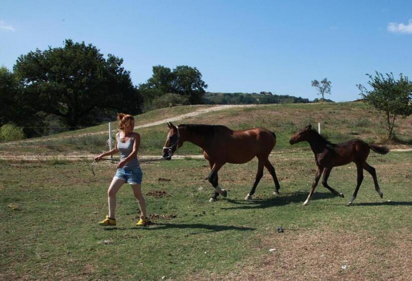 Hotel Podere Calledro