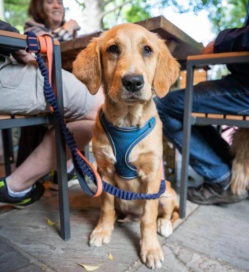 Отель The Bridge