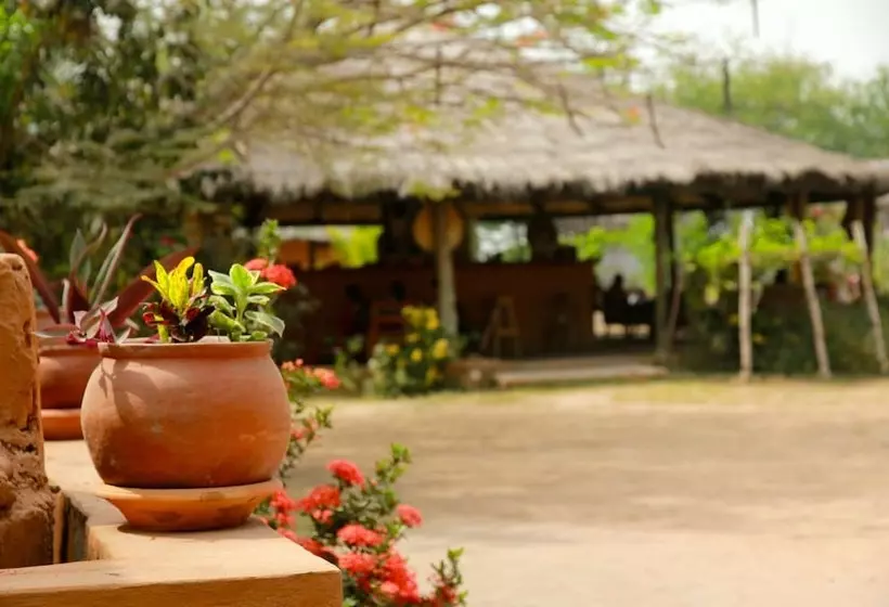 膳宿费 Barbara's Village