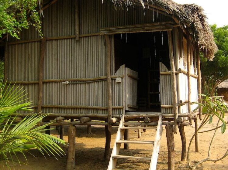 膳宿费 Barbara's Village