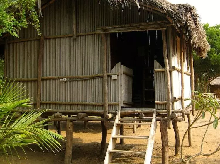 膳宿费 Barbara's Village