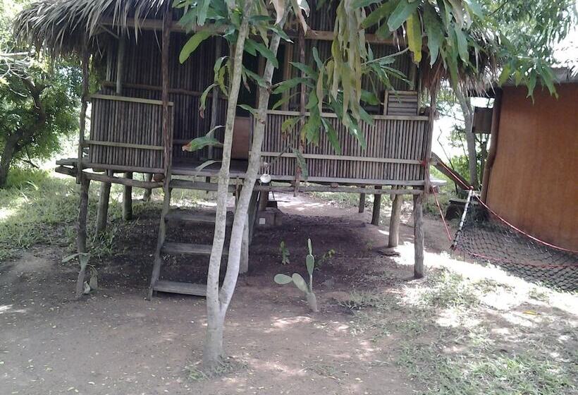 膳宿费 Barbara's Village