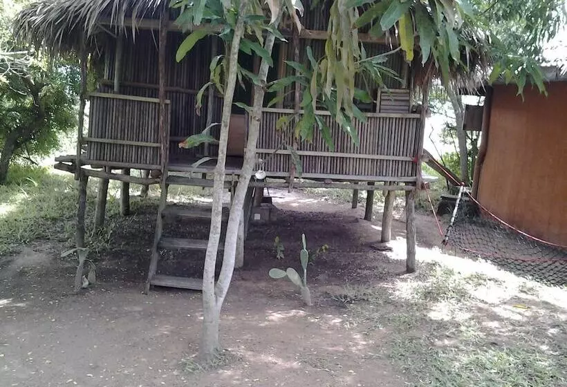 膳宿费 Barbara's Village