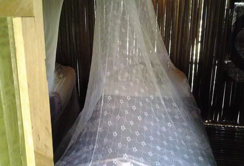 膳宿费 Barbara's Village