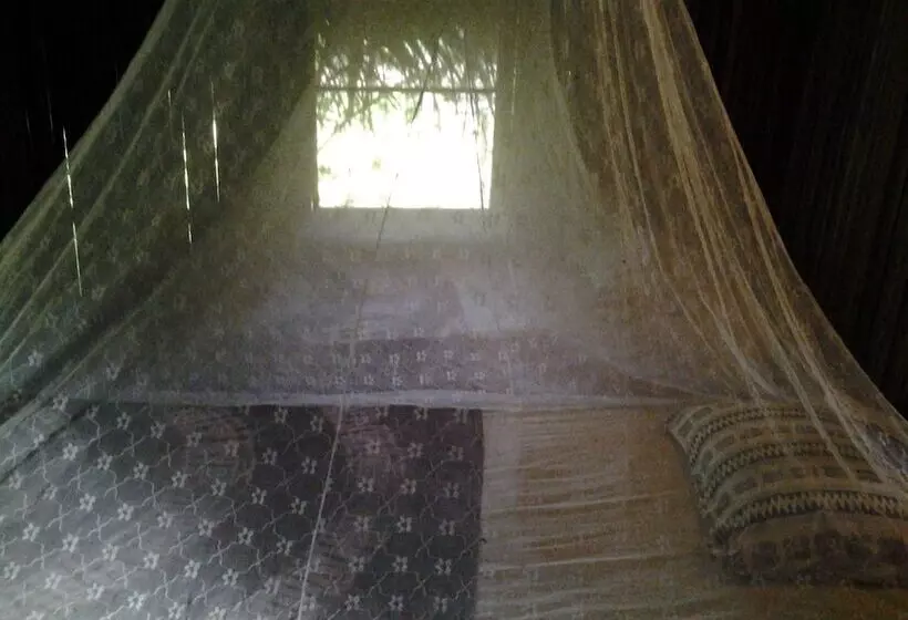 膳宿费 Barbara's Village