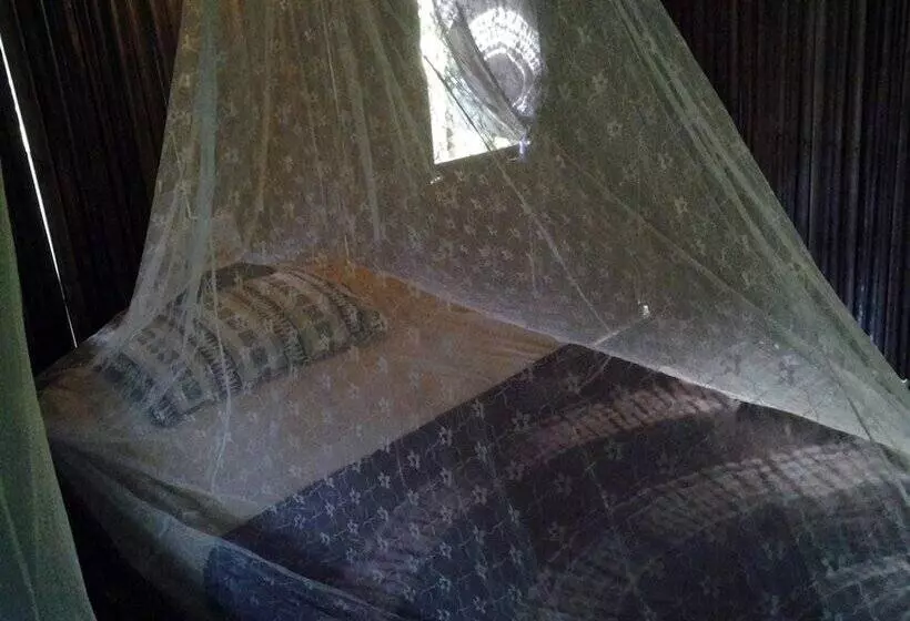 膳宿费 Barbara's Village