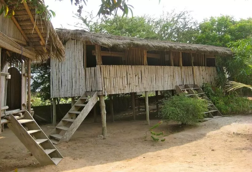 膳宿费 Barbara's Village