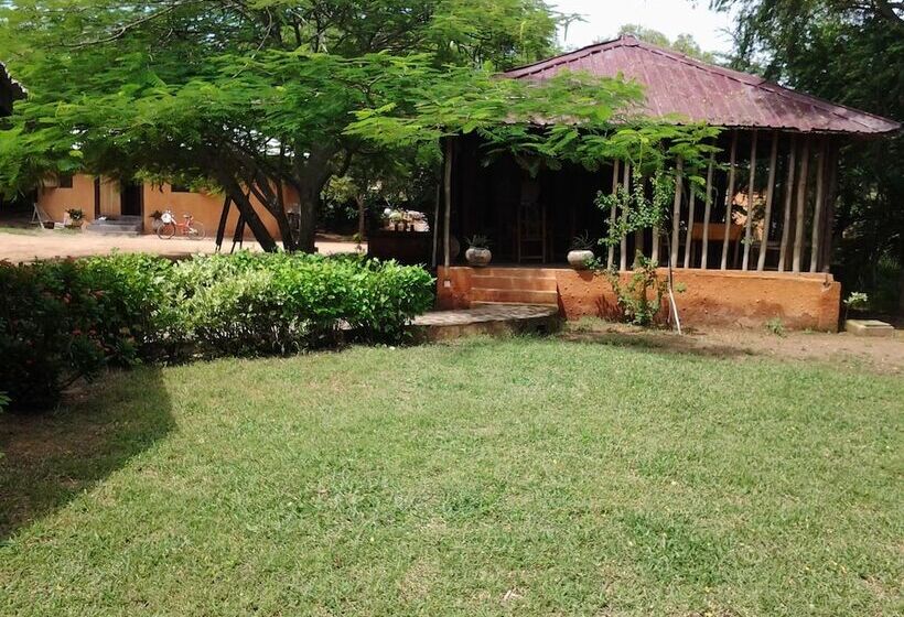 膳宿费 Barbara's Village