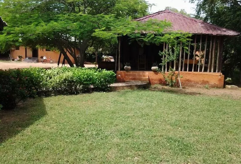 膳宿费 Barbara's Village