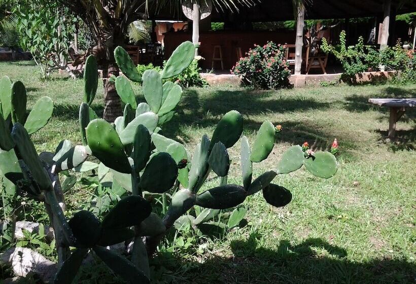 膳宿费 Barbara's Village