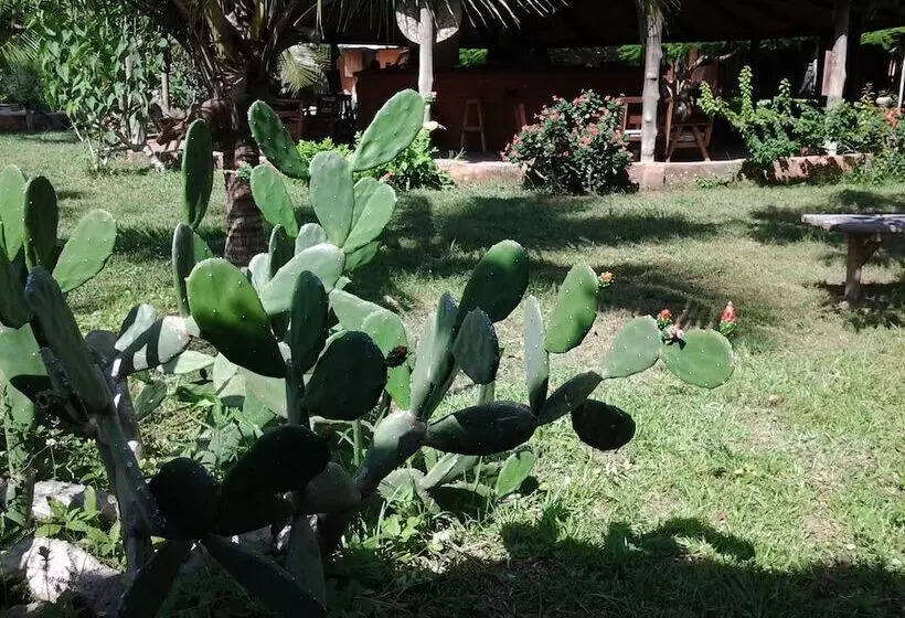 膳宿费 Barbara's Village