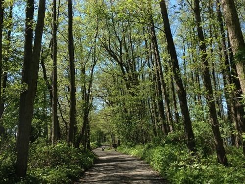 Cleveley Mere Luxury Waterside Lodges