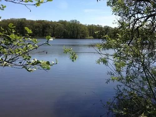 Cleveley Mere Luxury Waterside Lodges