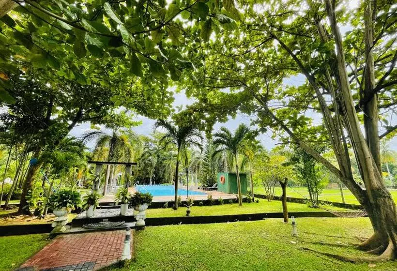 Tishan Holiday Resort