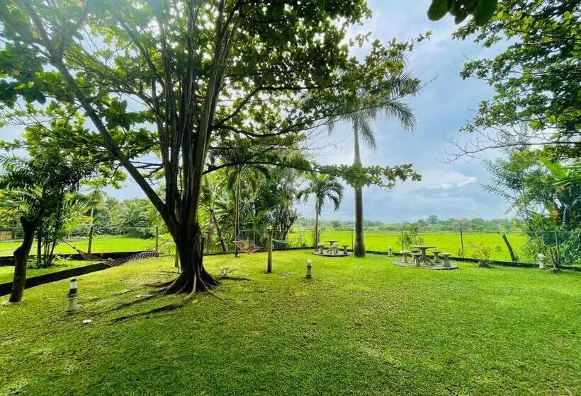 Tishan Holiday Resort