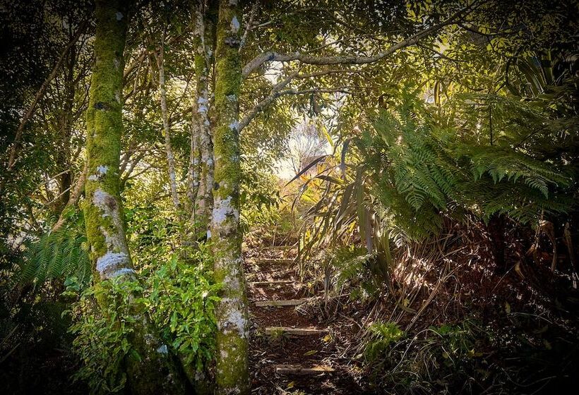 Te Tiro Accommodation