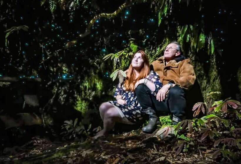 Te Tiro Accommodation