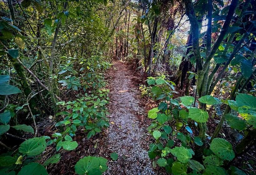 Te Tiro Accommodation