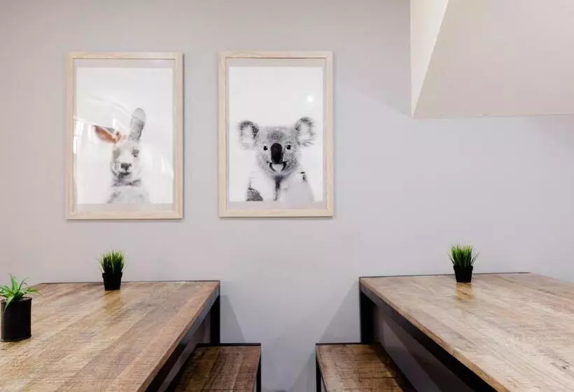 Schronisko Mad Monkey Broadway