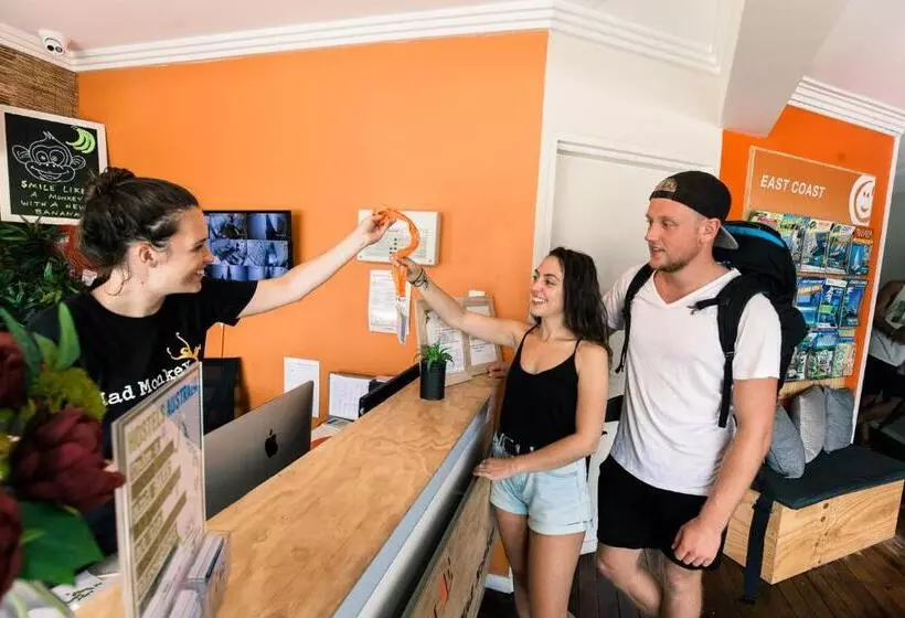 Schronisko Mad Monkey Broadway