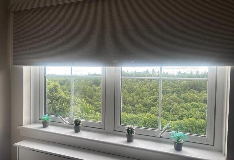 住宿加早餐  Firbank Lodge