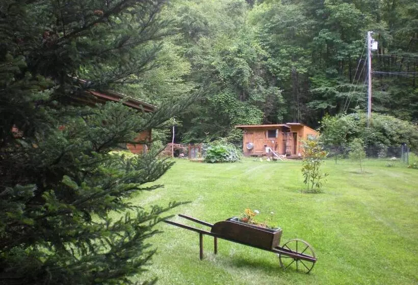 Buffalo Creek Bed & Breakfast