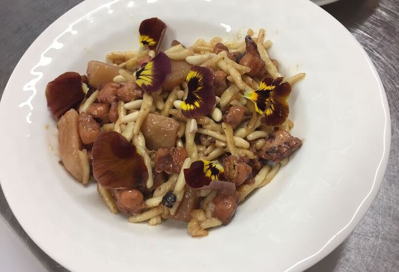 בית מלון כפרי Alba