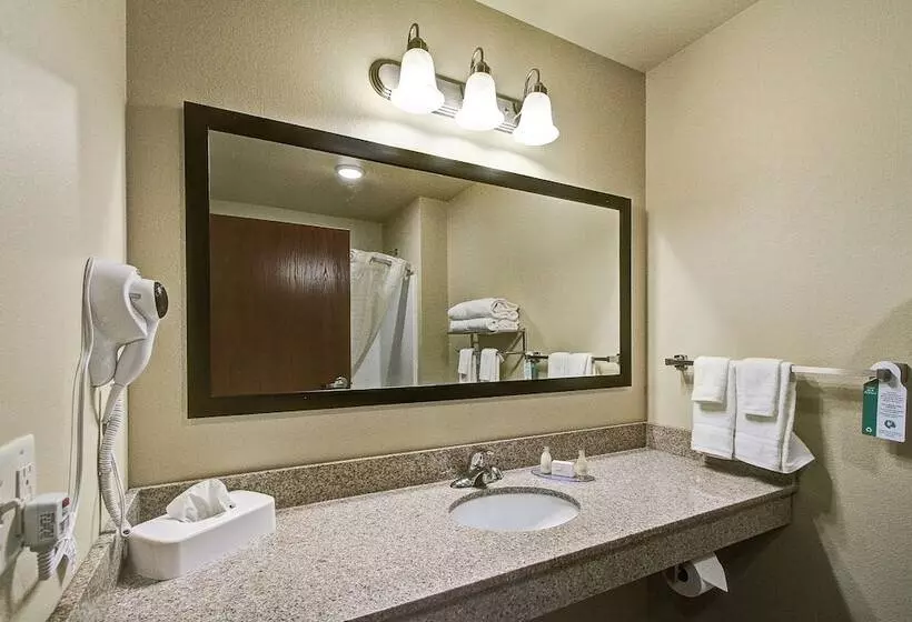 Cobblestone Hotel & Suites Pulaski/green Bay