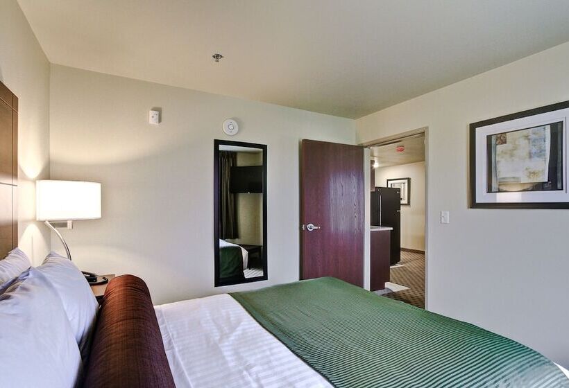 Cobblestone Hotel & Suites Pulaski/green Bay