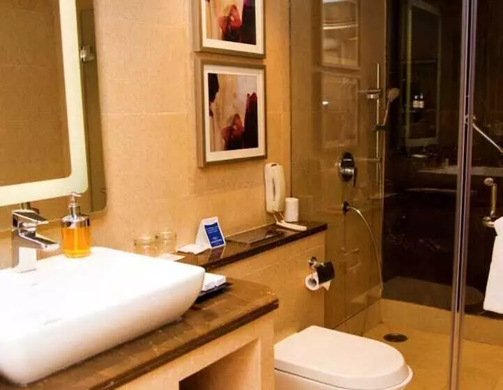 هتل Grand Mercure Agra