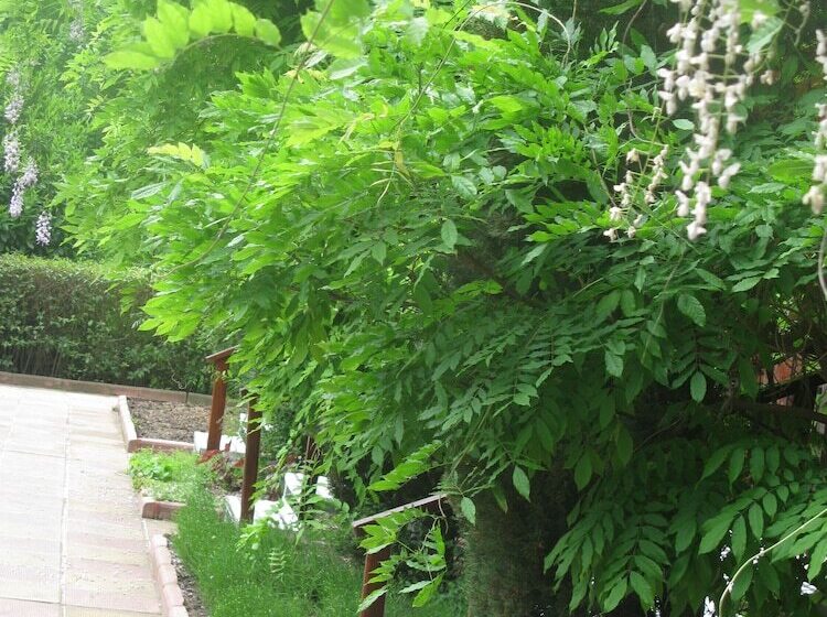 ホテル Estreya Palace & Residence