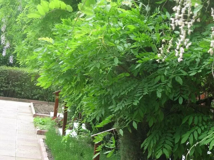 호텔 Estreya Palace & Residence