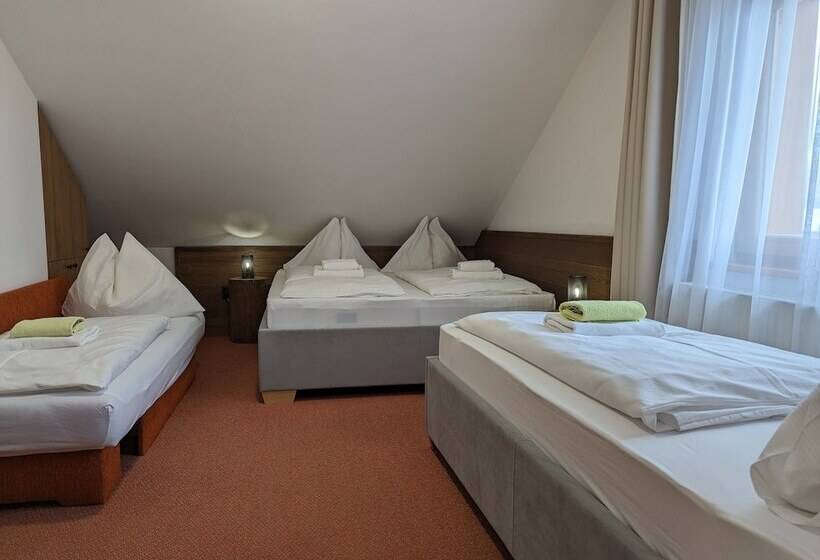 בית מלון כפרי Penzion Maria