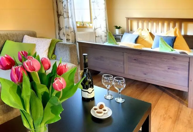 هتل Penzion Maria