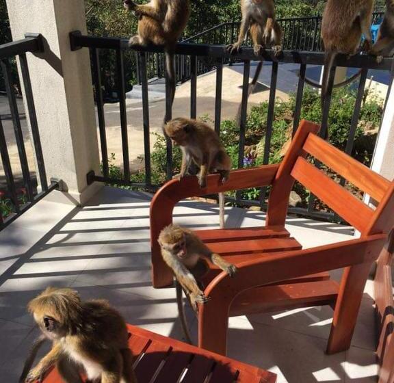 مبيت وإفطار The Grand Hills