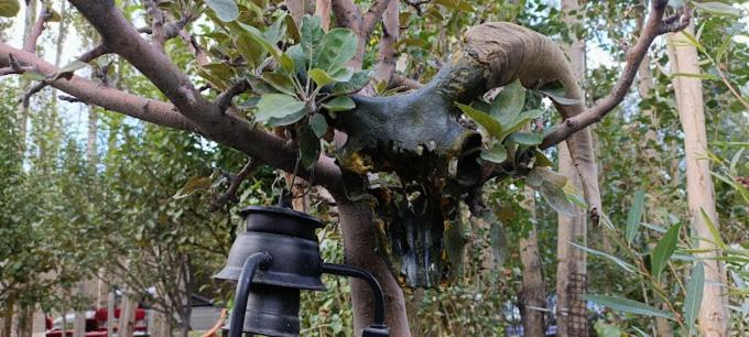 Hotel The Nubra Residency, Hunder