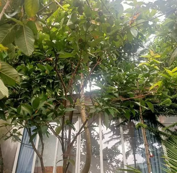 Hotelli Hostel Inn Dalat