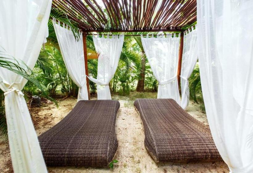 هتل Grand Caribe Beach Club And Spa Playa Los Corales