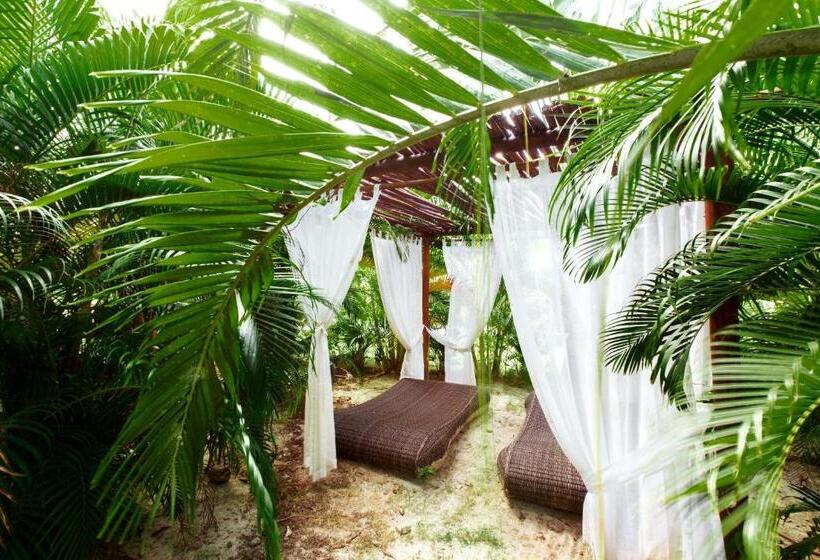 هتل Grand Caribe Beach Club And Spa Playa Los Corales