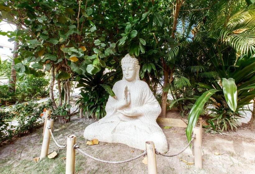 هتل Grand Caribe Beach Club And Spa Playa Los Corales