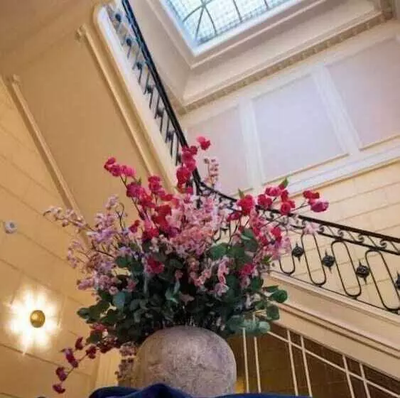 تختخواب و صبحانه De Maître De Vaughan