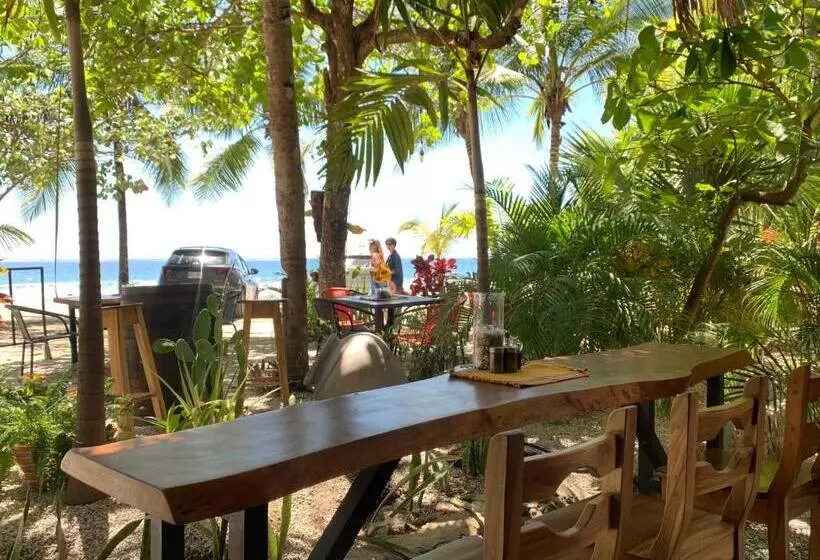 هتل Beach Front Bahia