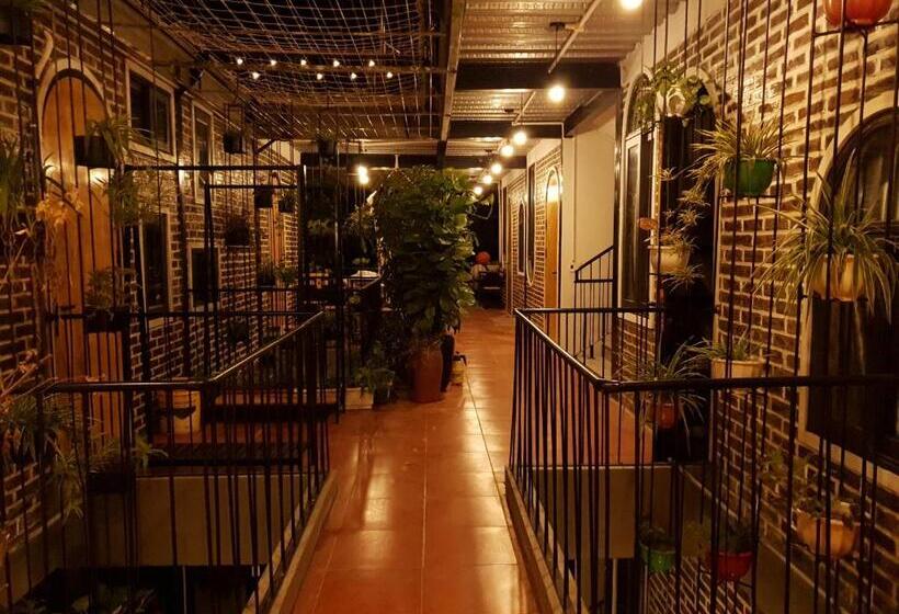 هتل Tam Coc Brothers Homestay   Ninh Bình