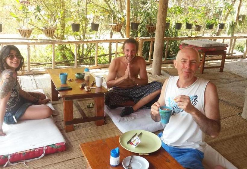 פנסיון Twin Hut